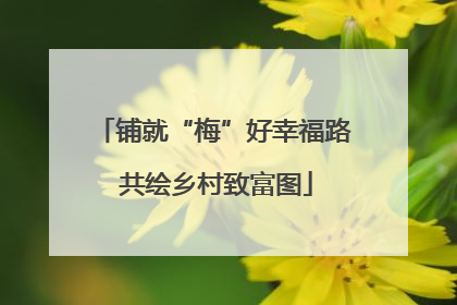 铺就“梅”好幸福路 共绘乡村致富图